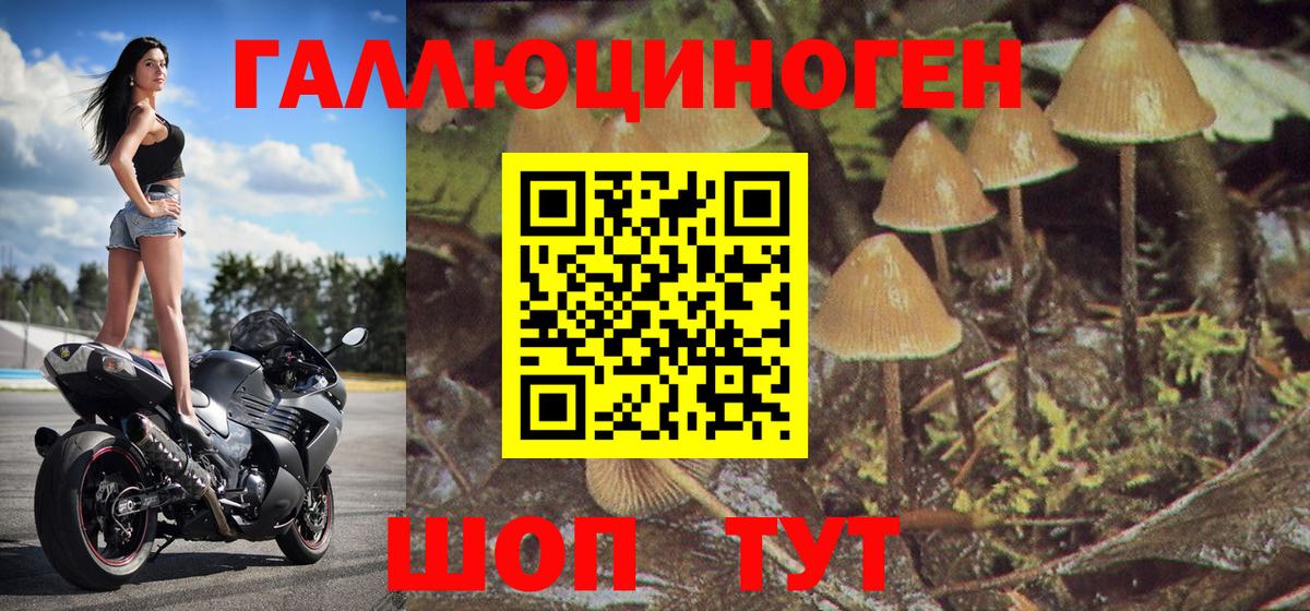 Жигулёвск  Галлюциногенные грибы Psilocybe  где можно купить   Вход с VPN 