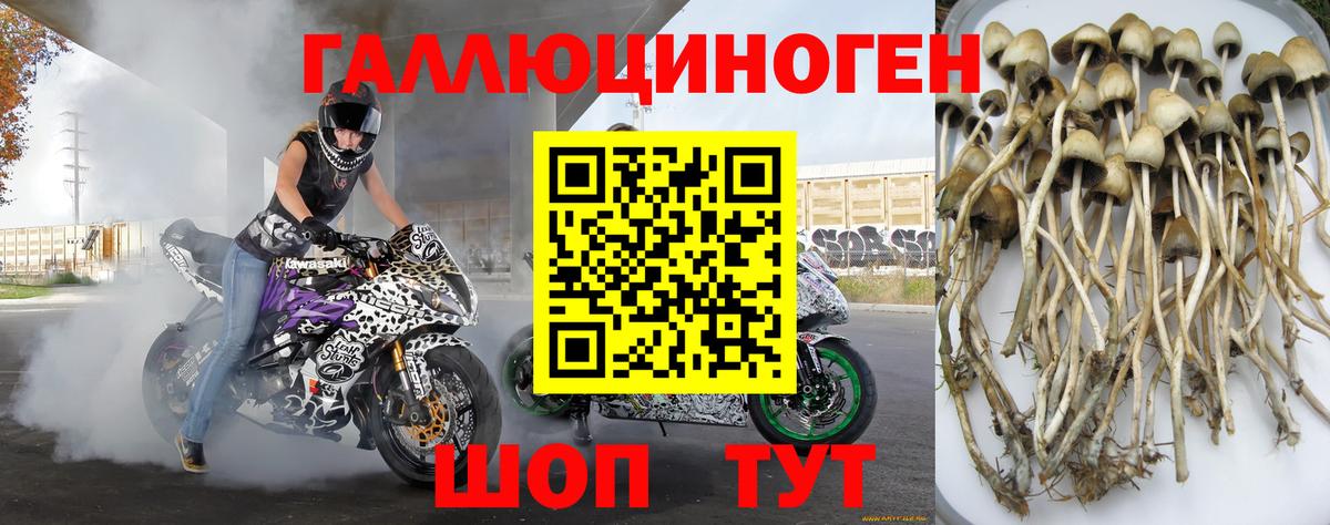 Псилоцибиновые грибы мухоморы  Жигулёвск  Псилоцибиновые грибы мицелий 